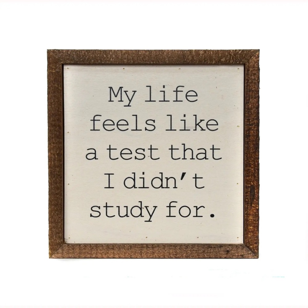 New “My Life Feels Like a Test I Didn’t Study For” Small Rustic Sign